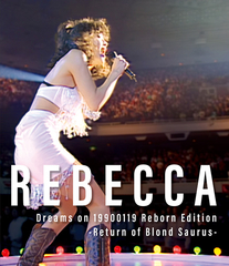 REBECCA COMPLETE BOX ～20th anniversary～ | REBECCA | ソニー