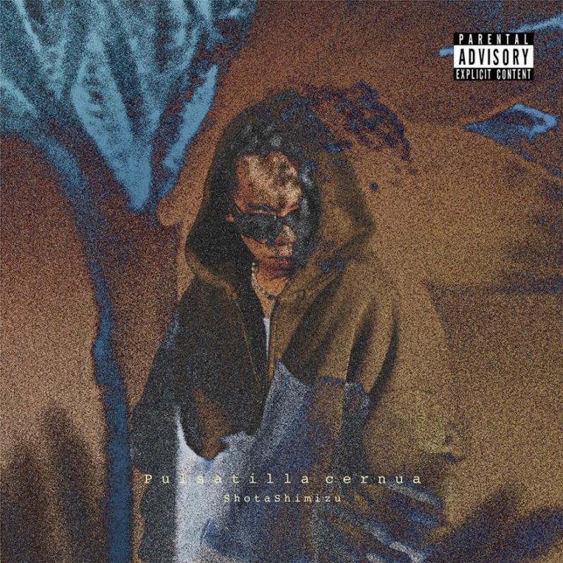 清水 翔太 | インフォメーション