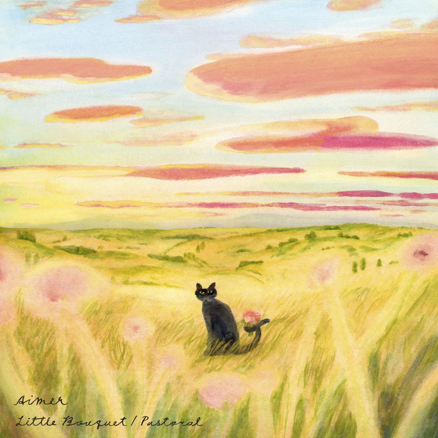 Aimer Official Web Site | NEWS