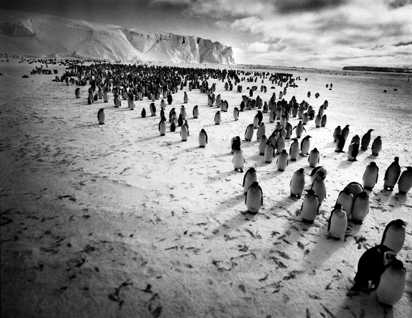 Closer Tomasza Gudzowatego w Polsce - galeria zdjęć - Wersja