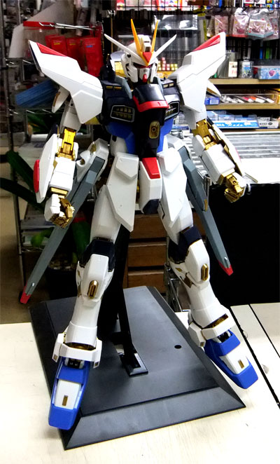 PG ストライクフリーダムガンダム ～その6～ | メリクリウスの杖