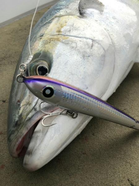 ダイブベイト｜ローカルスタンダード｜販売商品｜Costa｜Costa Fishing