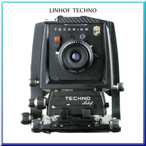 PHOTO OFFICE CLIQUE(CLUB CLIQUE)