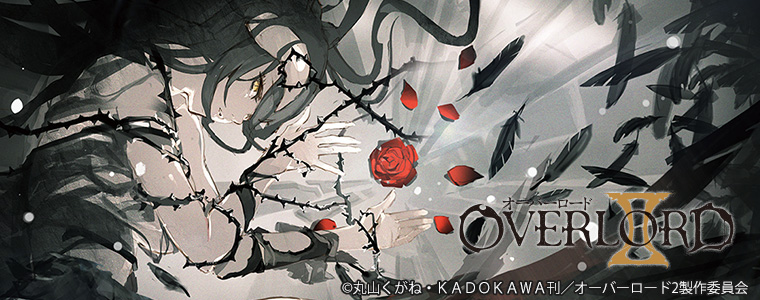 カーテン魂】 TOPページ[バックアップ]