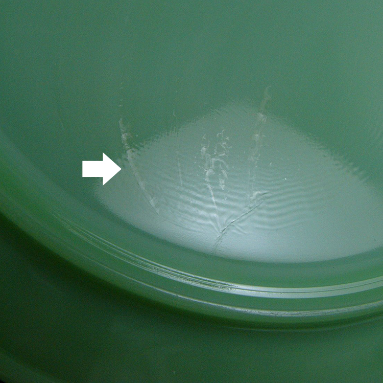 ファイヤーキング☆ジェダイ 3コンパートメントプレート☆DEALERSHIP