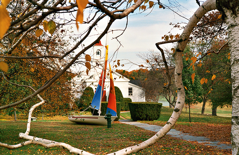 ART-PRESENTATION: William Eggleston-The Democratic Forest