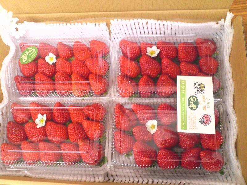 4パック入りイチゴ｜まほらファーム