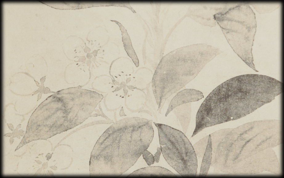 俵屋宗達:原作「桜図」：E-088j[工芸掛け軸]古美術谷口