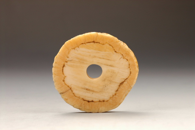 第21回 ウニコールとセイウチの見分け方