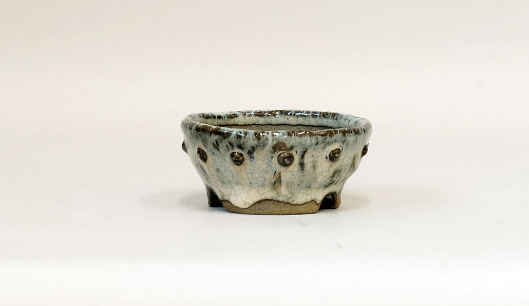 盆栽鉢ストアゆきもの｜盆栽鉢｜越前文山｜白釉鋲打ち丸鉢