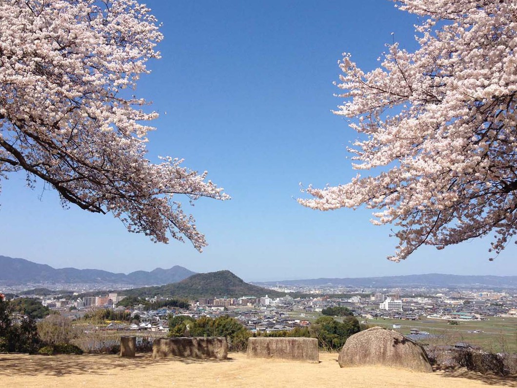 甘樫丘｜奈良県観光[公式サイト] あをによし なら旅ネット｜明日香村