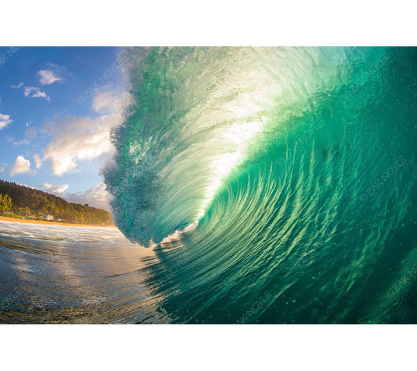 Zak_Noyle_Green_Room_grande.