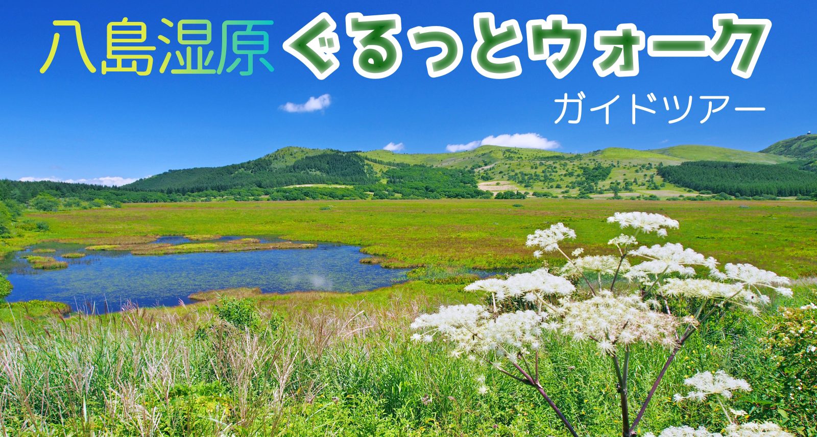 八島湿原 ぐるっとウォーク・ガイドツアー – 8guide（ハチガイド）