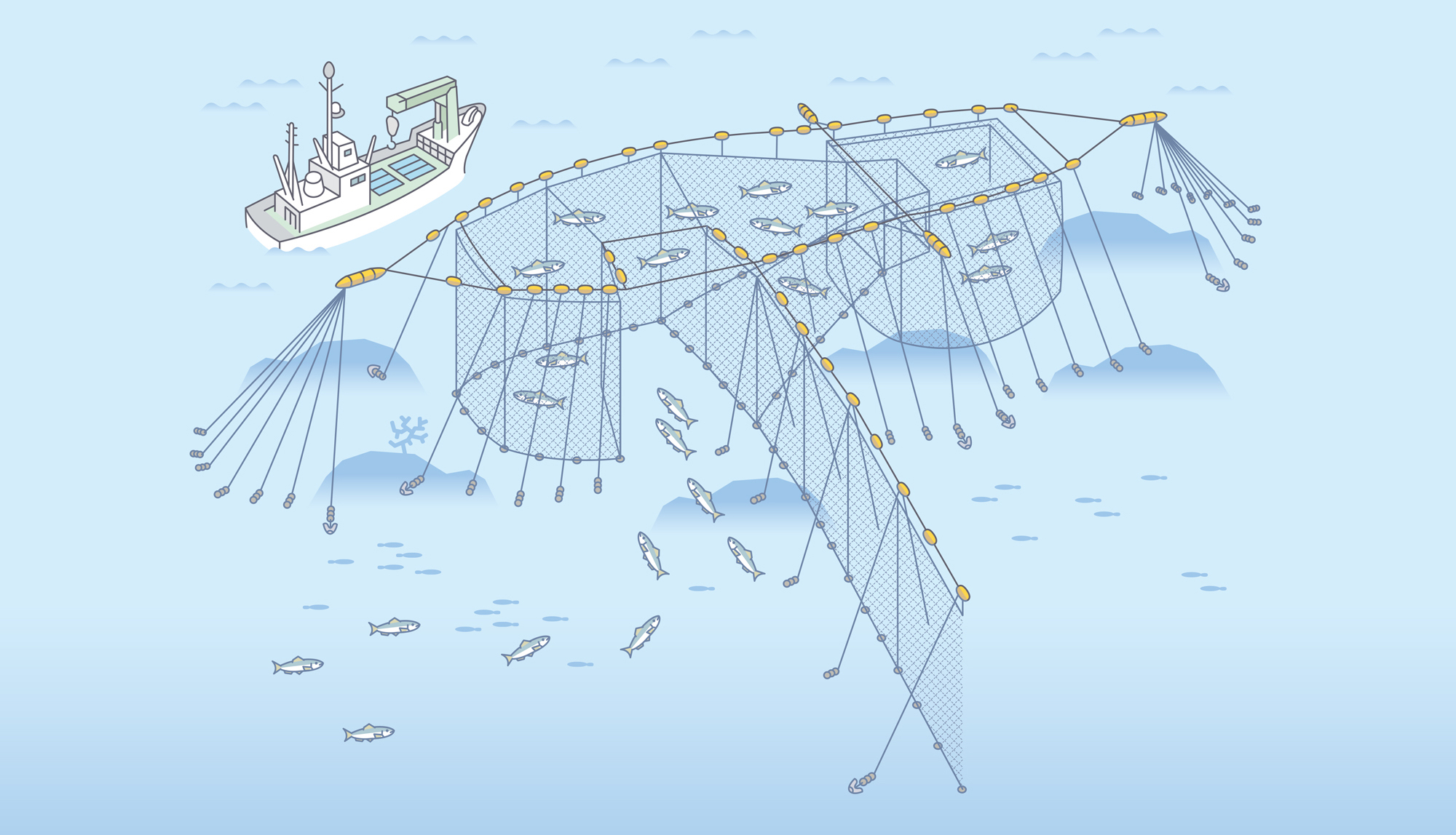 とやまの漁業について｜とやま漁業就業ナビ