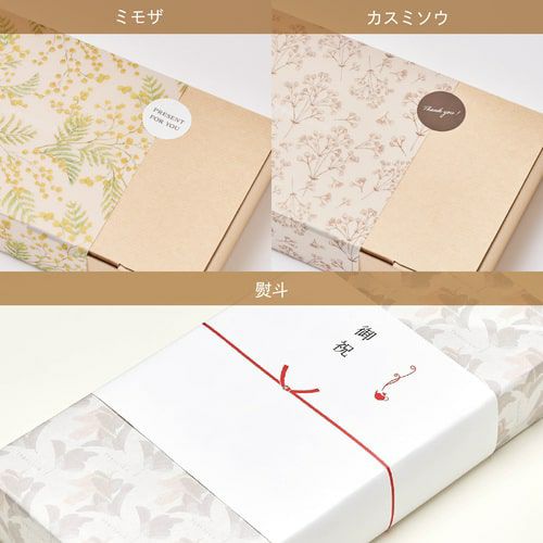 ティート6種セット | TEAtriCO ティートリコ公式オンラインストア