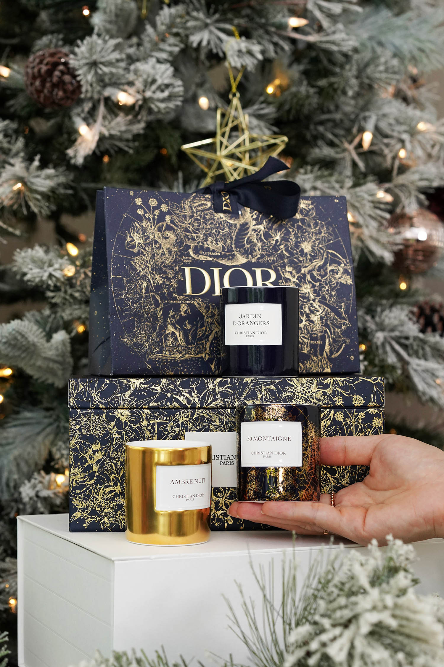 Luxury Beauty Gift Ideas from Dior - The Beauty Look Book