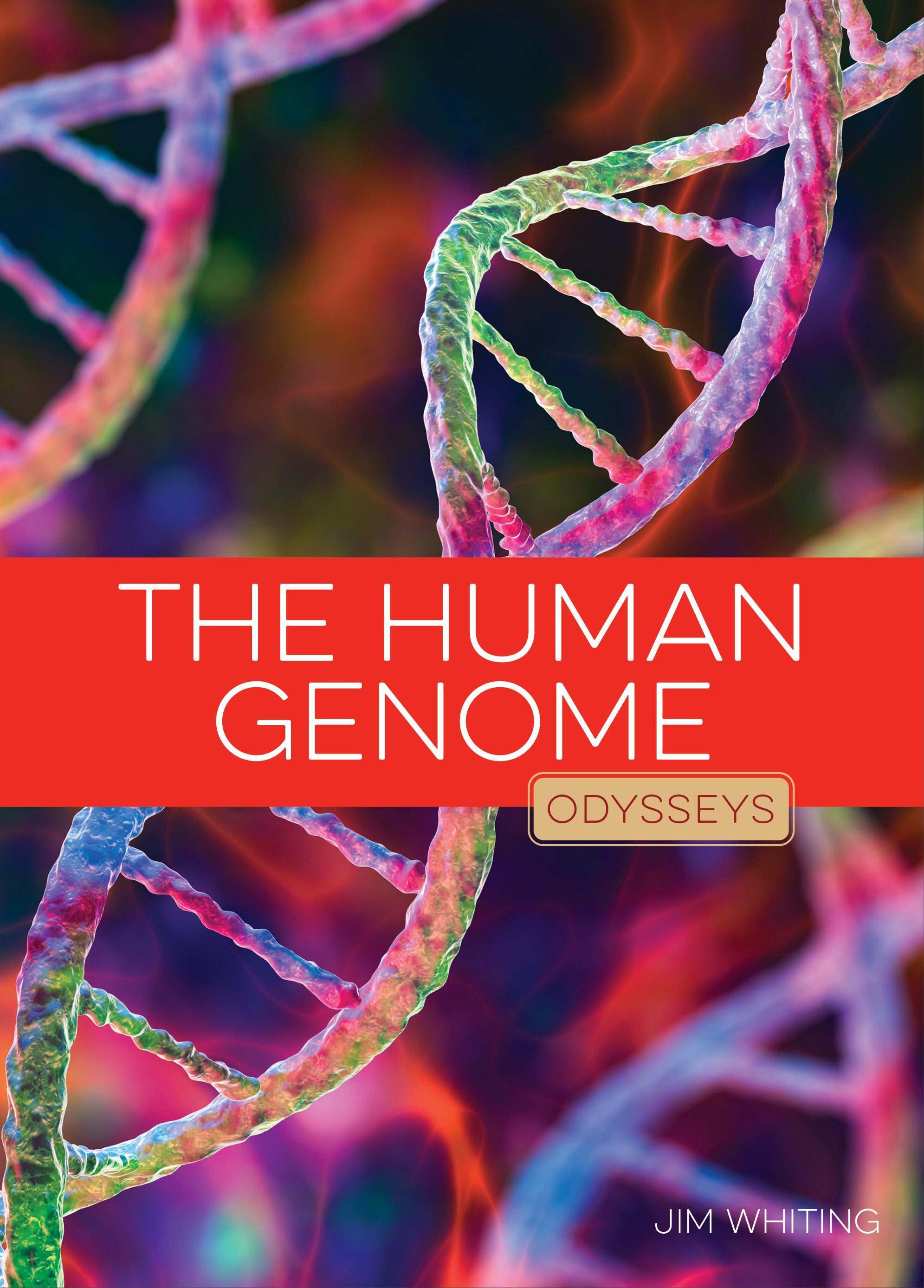 The Human Genome – The Creative Company