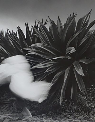 Flor Garduño – Paths of Life | Throckmorton Fine Art Gallery New York