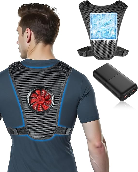 楽天市場】ワークマン ペルチェベストの通販