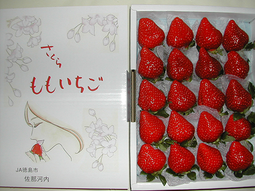 さくらももいちご | 公益社団法人 徳島県産業国際化支援機構 公式