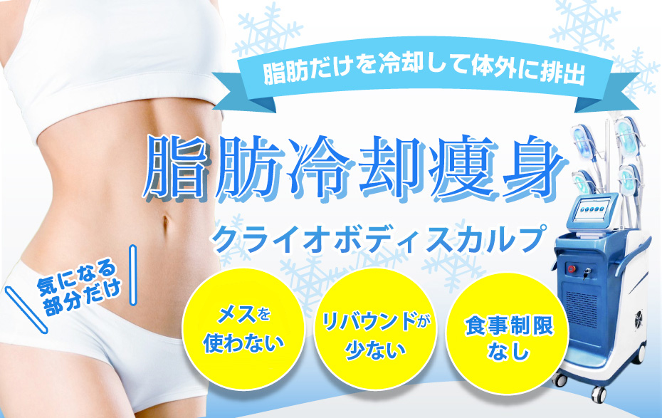 脂肪冷却痩身＞クライオボディスカルプ｜東京銀座スキンケアクリニック