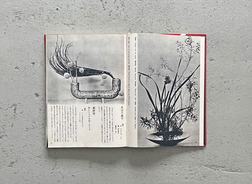 古書古本 Totodo: 草月の花 勅使河原蒼風（勅使河原蒼風 著. 婦人画