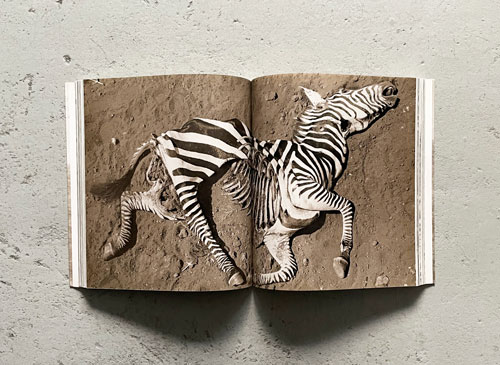 古書古本 Totodo: Peter Beard: THE END OF THE GAME（ピーター