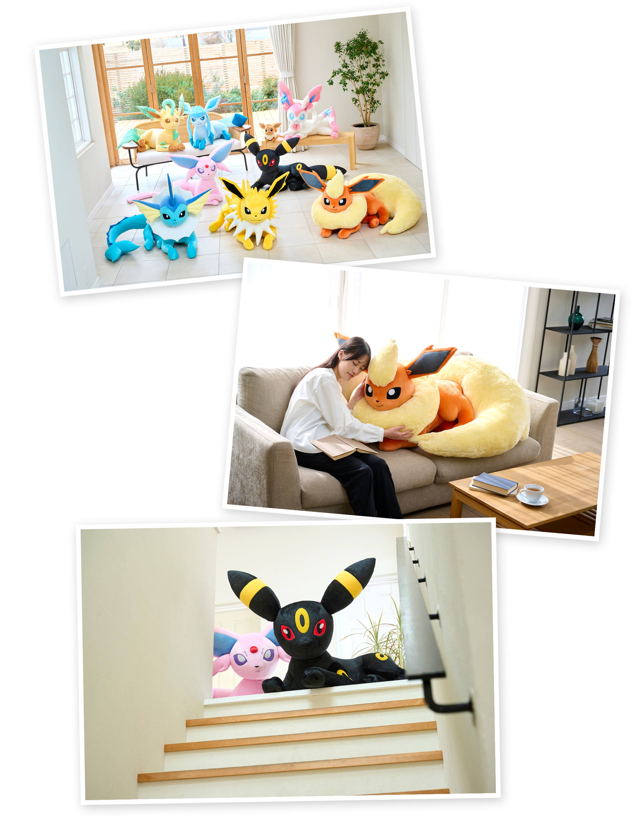 イーブイの進化形たちの等身大ぬいぐるみをご紹介！｜【公式】ポケモン
