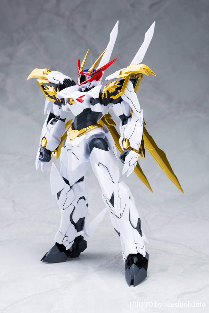 徹底レビュー】HG Amplified IMGN 龍王丸