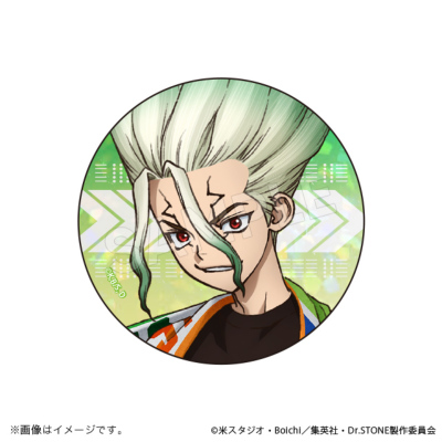 Dr.STONE ホログラム缶バッジコレクション 石の宴ver.(全5種) Dr