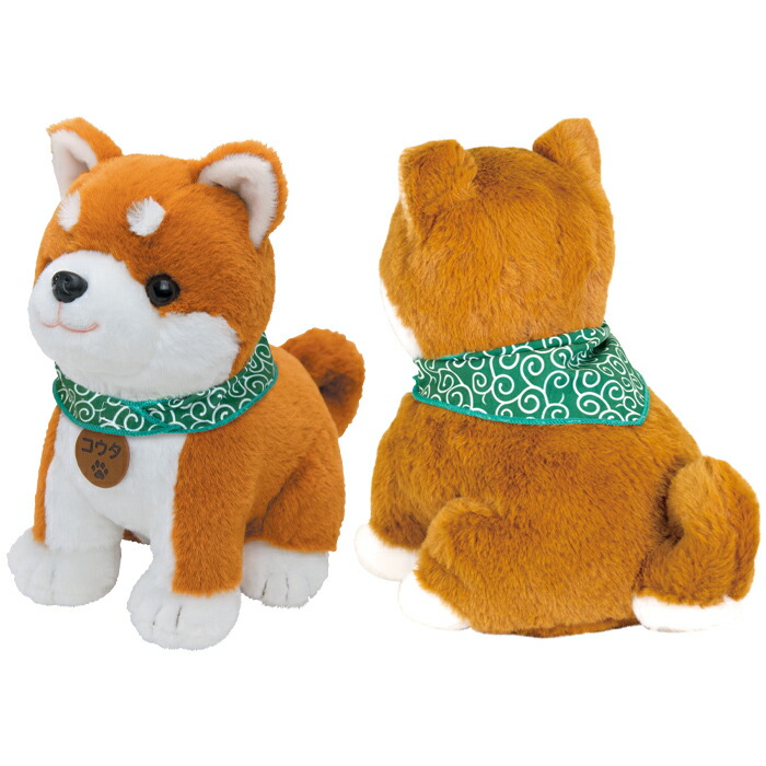 楽天市場】【365日出荷】【おまけ付】しばいぬコウタ バンダナつき