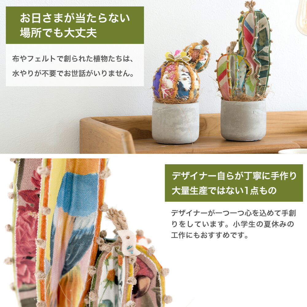 楽天市場】[最大3000円OFFクーポン配布中] ハンドクラフト キット 植物