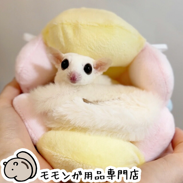 楽天市場】フクロモモンガのもっちりふわふわ貝殻ポーチ 吊り下げ可能