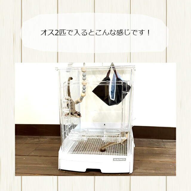 楽天市場】SANKO イージーホーム クリアー モモンガ40 WH