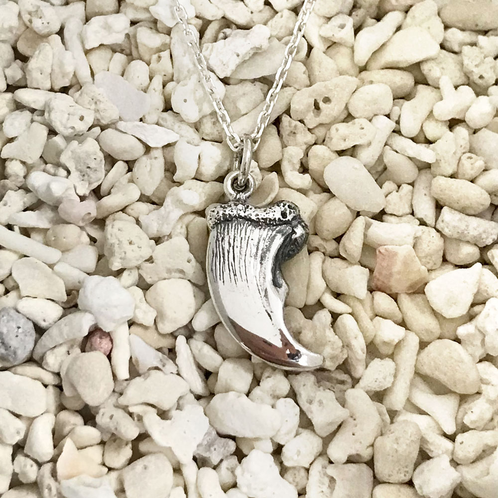 楽天市場】ベアクロー 熊爪 ベアパウ ネックレス ペンダント トップ