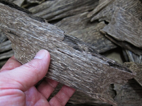 楽天市場】1000円 ベトナム産高級栽培沈香 5g量り売り【中高ランク