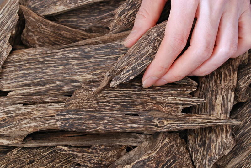 楽天市場】訳あり 沈香 ベトナム産 栽培沈香【中高ランク】100g