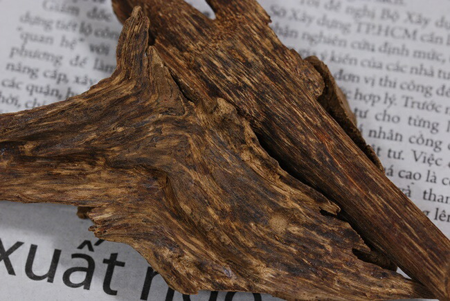 楽天市場】ベトナム産 天然沈香 高ランク甘味 5g 量り売り 沈水香木