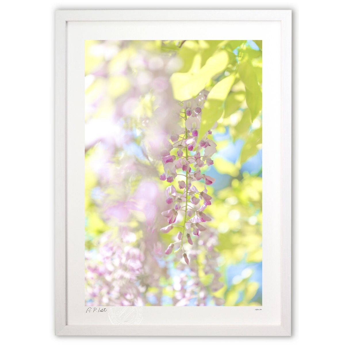 藤 絵画」の人気商品一覧 | 安い商品を通販サイトから探す - 価格.com