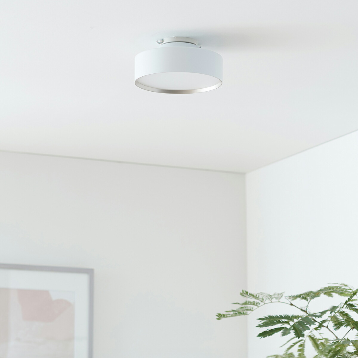 楽天市場】【アートワークスタジオ公式】 シーリングライト 2畳 3畳 4