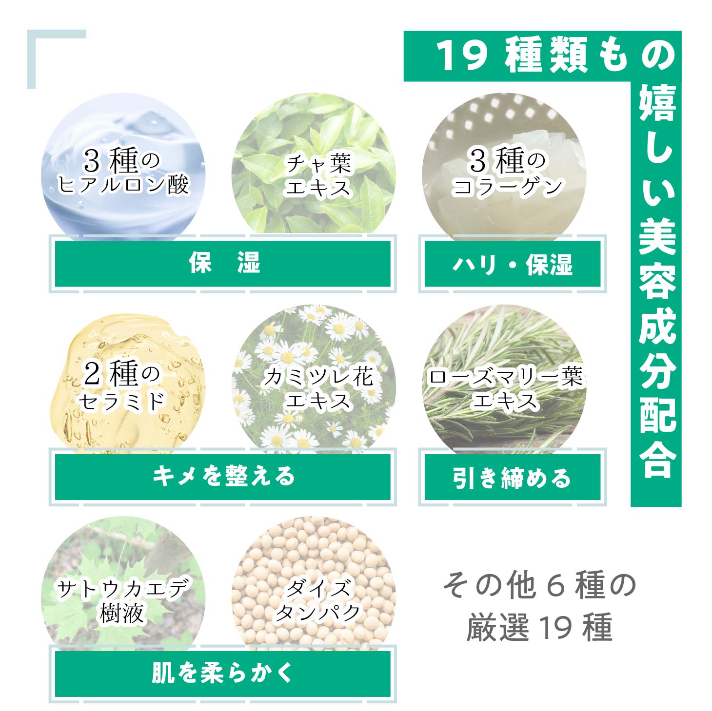 楽天市場】nopa マイベストカラーファンデーション＋プレストパウダー