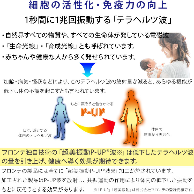 楽天市場】ピーアップ エクステラ テラヘルツ パドルブラシ 最新 超美