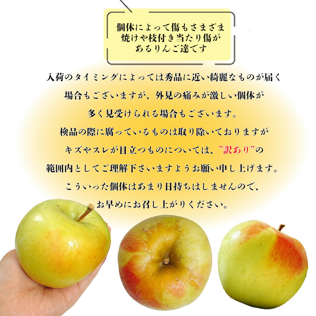 楽天市場】テレビで紹介された りんご 10Kg 訳あり 青森県産 ぐんま名