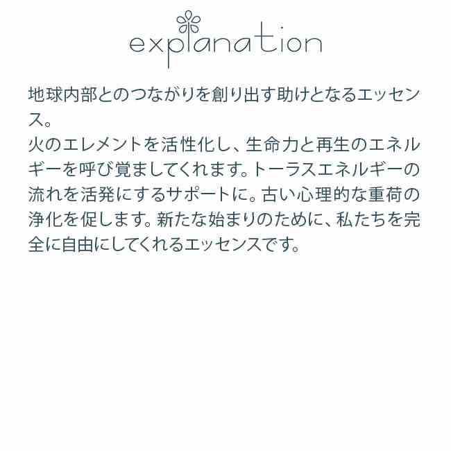 楽天市場】フラワーエッセンス コルテPHIエッセンス その他スペシャル