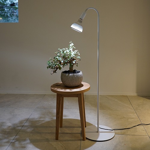 楽天市場】BARREL(バレル) 専用ライトスタンド BA-ST184-WH