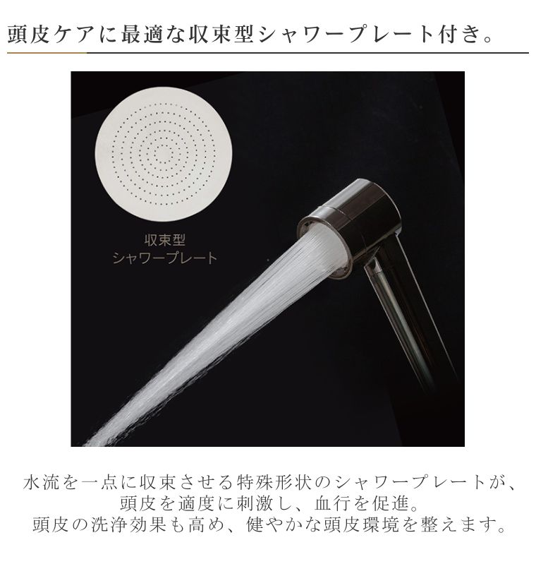 楽天市場】【メーカー認証正規販売店】ホリスティックキュア シャワー