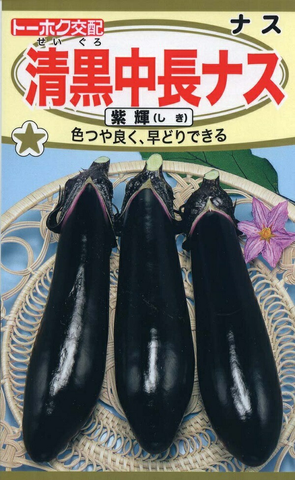 楽天市場】野菜種子 清黒中長ナス 紫輝（しき）トーホクのタネ : Ivy