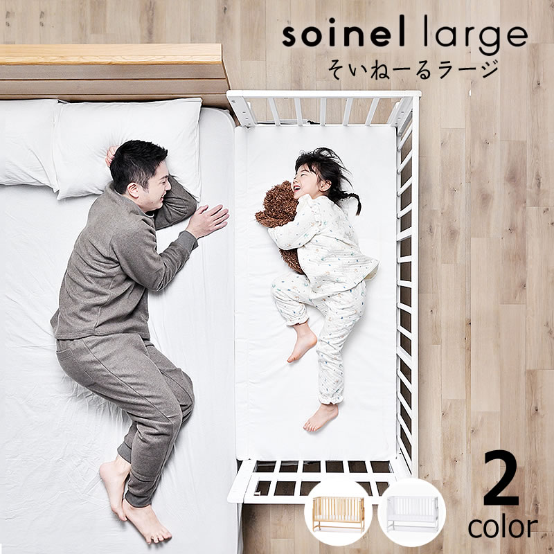 楽天市場】【3/1限定！税込5000円以上購入で500円OFFクーポン】そい