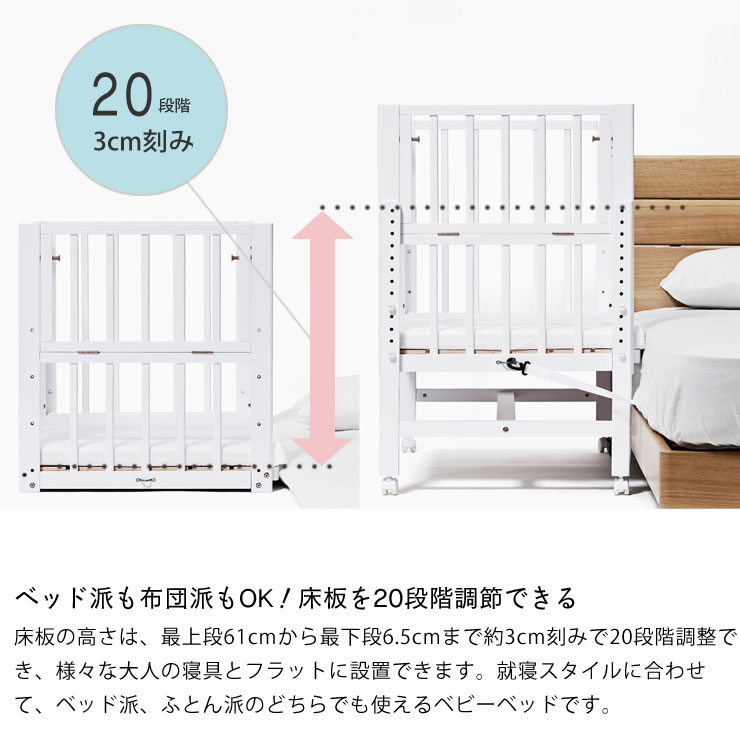 楽天市場】【3/1限定！税込5000円以上購入で500円OFFクーポン】そい