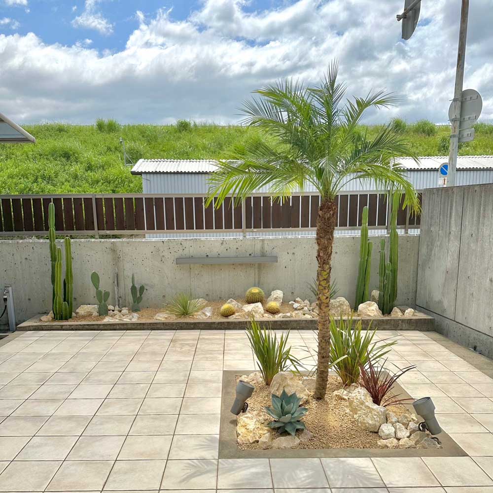 ヤシ の木」の人気商品一覧 | 安い商品を通販サイトから探す - 価格.com